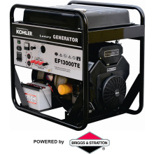 Популярный генератор Цена 13kw (EF13000)